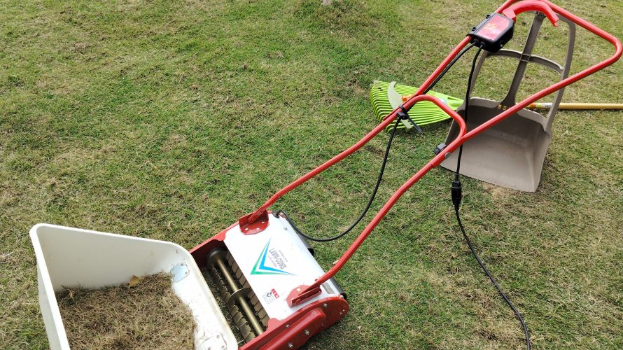 芝生管理　サッチ取り